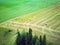 Aerial view wheat field with straw bales, road and forest