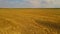 Aerial view of wheat field with yellow dry straw after harvesting grain crops