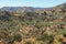 Aerial view of white houses and olive trees in Andalucian landscape, Spain