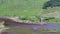 Aerial view of the wild camping area at Loch Etive