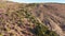 Aerial view of wild flowers - South Africa