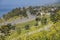 Aerial view of wildflowers blossom and ocean