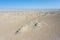 Aerial view of wind erosion terrain landscape