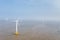 Aerial view of wind farm on mud flats wetland