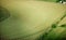 An aerial view of wind rowed during hay Harvest