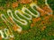 Aerial view of winding road through autumn colored forest