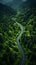 Aerial View Of Winding Road Through Beautiful Forest