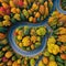 Aerial view of a winding road through a breathtaking autumn symbolizing travel and adventure in the fall season