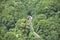 Aerial view of winding road through forest.
