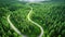 Aerial view of winding road in green coniferous forest, Summer Pine Forest and Winding Curvy Road, Top Down Birds Eye View