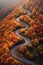 aerial view of winding roads in fall