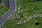 Aerial view of the winding Transfagarasan road near the green meadow with the sheep grazing