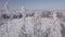 Aerial view of winter countryside