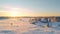 Aerial View Of Winter Field At Sunrise In Rural Finland