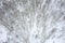 Aerial view of winter forest. beech trees covered with snow