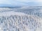Aerial view of winter forest covered in snow in Finland, Lapland.