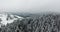 Aerial view. Winter forest in mountains