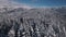 Aerial view of winter forest mountains in cold sunny frozen nature background