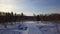 Aerial view of winter landscape with snow covered road. Action. Flying along rare trees towards the forest and blue