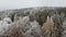 aerial view of winter pine forest covered