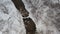 Aerial view of a winter small river surrounded by trees and banks covered with snow