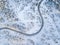 Aerial view of a winter winding road in the snow covered forest in Finland