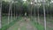 Aerial view of woman on electric bicycle in the forest