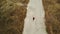 Aerial view of woman going on destroyed road alone in countryside. Bird\'s eye view of female walking in empty secluded