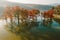 Aerial view with woman on paddle on stand up paddle board at lake with autumnal Taxodium distichum trees and sunshine