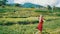 Aerial view of woman in red dress walking along green fields in Bali