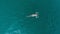 Aerial view of woman relaxing in turquoise water