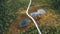 Aerial view of a wooden path over a swamp in the wetlands National park Seitseminen, Finland.