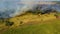 Aerial view of woods deforestation, forest fire burning and smoking near small river with dry reeds and grass