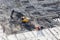 Aerial view of working excavator with builders stand near