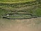 Aerial view of the wreckage of a post medieval steam dredger in River Deben