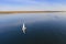 Aerial view of a yacht walking along the lake along the shore covered with a yellowing forest in autumn