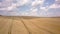 Aerial view of yellow agriculture wheat field ready to be harvested in late summer.