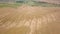 Aerial view of yellow agriculture wheat field ready to be harvested in late summer.