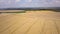 Aerial view of yellow agriculture wheat field ready to be harvested in late summer.