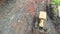 Aerial view of yellow bulldozer leveling the ground on a construction site. Heavy grader rakes soil. Drone view of preparation sur
