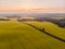 Aerial view of yellow canola field and country road at sunrise