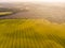 Aerial view of yellow canola field and distant country road