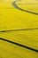 Aerial view of yellow rapeseed