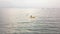 Aerial view: A young female kayaking alone in a serene tropical ocean in summer.