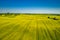 Aerial viewof green and yellow rape fields, Poland