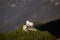 Aerial views of Tarasp castle, Switzerland.