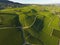 Aerial of Vineyard fields between Lausanne and Geneva, Switzer