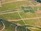 Aerial vineyard view