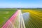 Aerial from water sprinkler in the tulip fields from the Netherlands