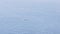 Aerial of white yacht in the Mediterranean sea with ripples. Action. Sailing ship moving slowly under the bright sun on